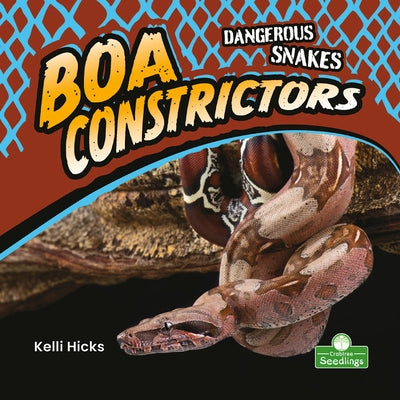 Boa Constrictors by Hicks, Kelli