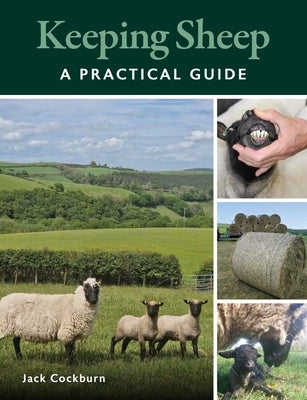 Keeping Sheep by Cockburn, Jack