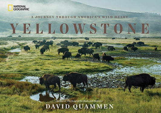 Yellowstone: A Journey Through America's Wild Heart by Quammen, David
