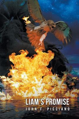 Liam's Promise by Picciano, John F.