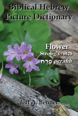 Biblical Hebrew Picture Dictionary by Benner, Jeff A.