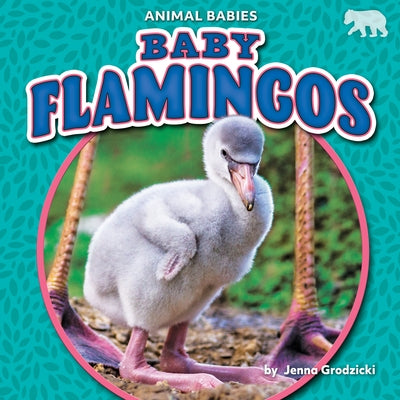 Baby Flamingos by Grodzicki, Jenna