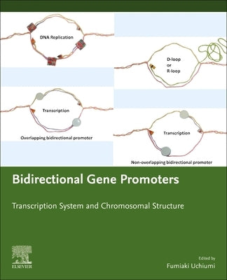 Bidirectional Gene Promoters: Transcription System and Chromosomal Structure by Uchiumi, Fumiaki
