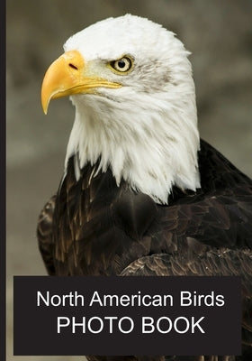 North American Birds Photo Book: 40 Different Bird Photos With Identification Names For Alzheimer & Dementia Patients To Help With Memories and Memory by Gough, Louise K.
