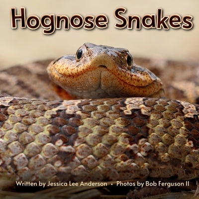 Hognose Snakes by Anderson, Jessica
