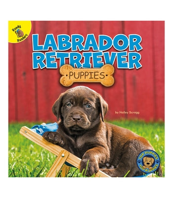 Labrador Retriever Puppies by Scragg