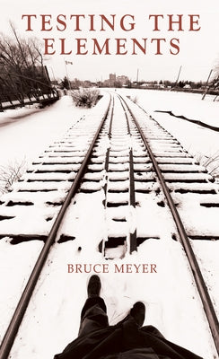 Testing the Elements by Meyer, Bruce