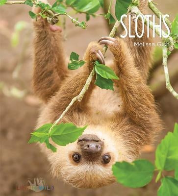 Sloths by Gish, Melissa