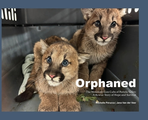 Orphaned: The Mountain Lion Cubs of Portola Valley: A Rescue Story of Hope and Survival by Perucca, Rochelle