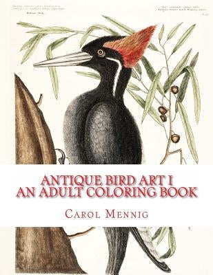 Antique Bird Art I: An Adult Coloring Book by Mennig, Carol