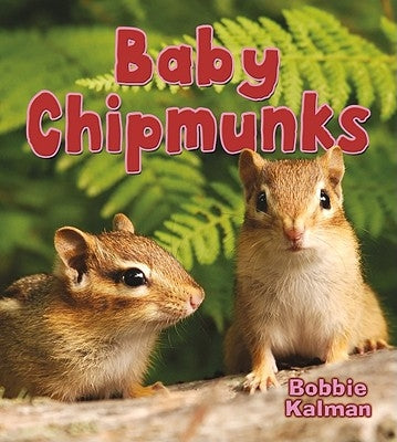 Baby Chipmunks by Kalman, Bobbie