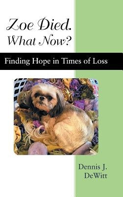 Zoe Died. What Now?: Finding Hope in Times of Loss by DeWitt, Dennis J.