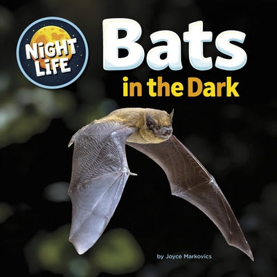 Bats in the Dark by Markovics, Joyce