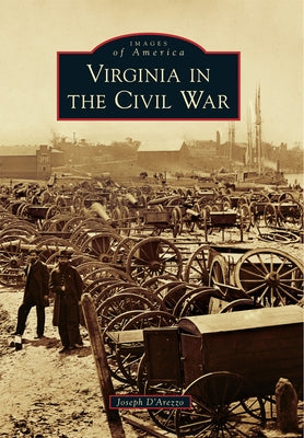 Virginia in the Civil War by D'Arezzo, Joseph