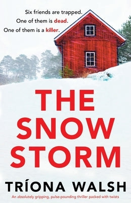 The Snowstorm: An absolutely gripping, pulse-pounding thriller packed with twists by Walsh, Tr?na