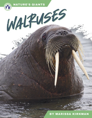 Walruses by Kirkman, Marissa