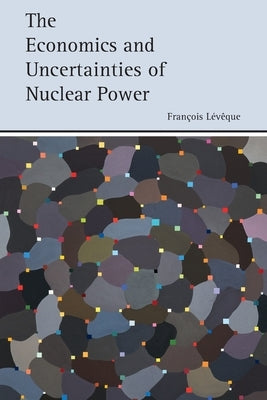 The Economics and Uncertainties of Nuclear Power by Lévêque, François