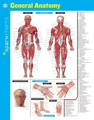General Anatomy Sparkcharts: Volume 24 by Sparknotes