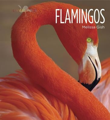 Living Wild: Flamingos by Gish, Melissa