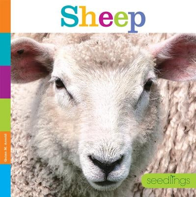 Sheep by Arnold, Quinn M.