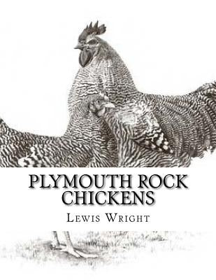 Plymouth Rock Chickens: From The Book of Poultry by Chambers, Jackson
