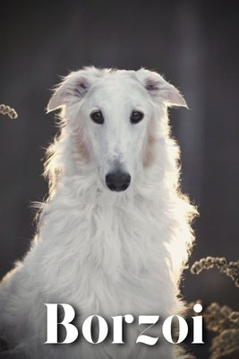 Borzoi: Dog breed overview and guide by Pustova, Nina