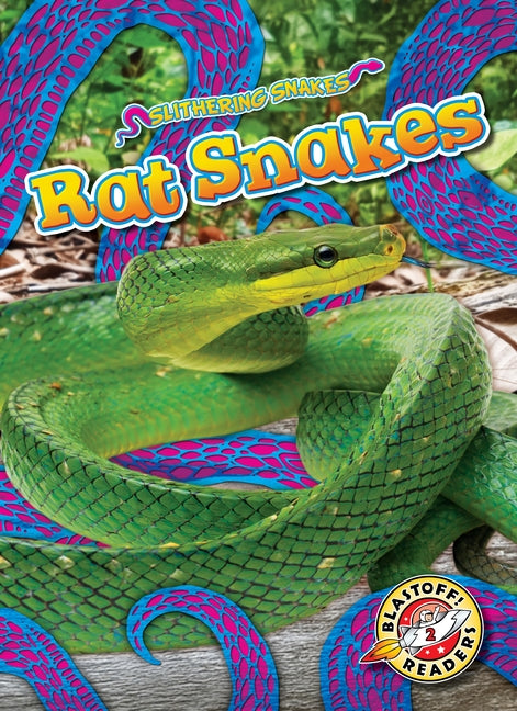 Rat Snakes by Mattern, Joanne