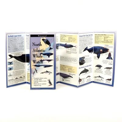 North Atlantic Whale Watch by Steven Lewers & Associates