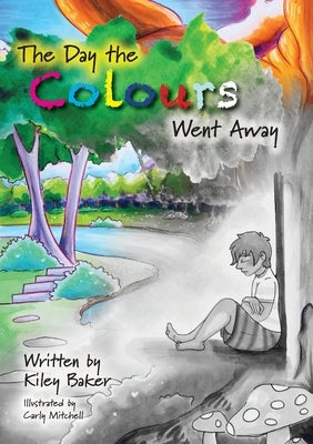 The Day the Colours Went Away by Baker, Kiley