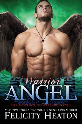 Warrior Angel by Heaton, Felicity