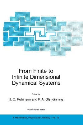 From Finite to Infinite Dimensional Dynamical Systems by Robinson, James