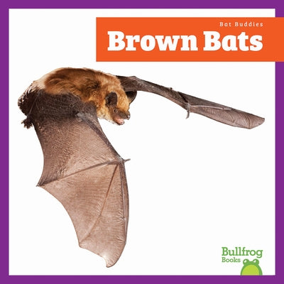 Brown Bats by Gleisner, Jenna Lee