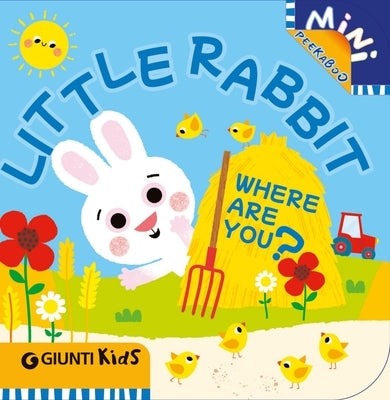 Little Rabbit Where Are You?: A Peekaboo Adventure on the Farm by Boschi, Martina