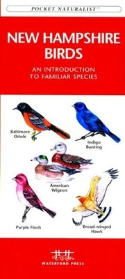 New England Birds: A Folding Pocket Guide to Familiar Species by Kavanagh, James