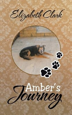 Amber's Journey by Clark, Elizabeth