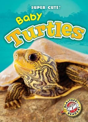 Baby Turtles by Borgert-Spaniol, Megan