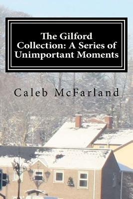 The Gilford Collection: A Series of Unimportant Moments by Palmer, Merrel