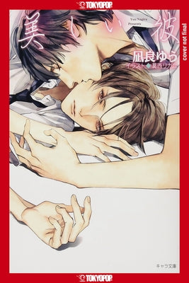 My Beautiful Man, Volume 1 (Light Novel) by Yuu Nagira
