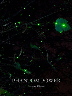 Phantom Power by Diener, Barbara