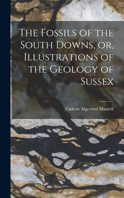 The Fossils of the South Downs, or, Illustrations of the Geology of Sussex by Mantell, Gideon Algernon 1790-1852