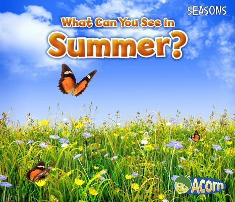 What Can You See in Summer? by Smith, Sian