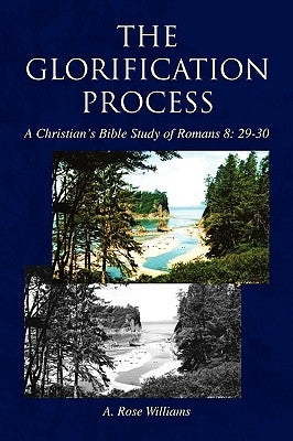 The Glorification Process by Williams, A. Rose