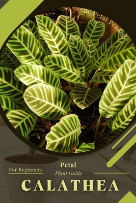 Calathea: Prodigy Petal, Plant Guide by Prodigy, Petal