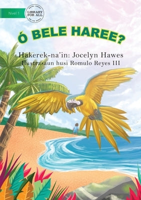 Look Can You See (Tetun edition) - Ó bele haree? by Hawes, Jocelyn
