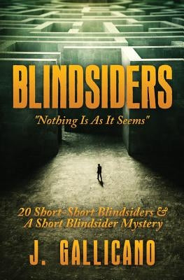 Blindsiders: Nothing Is As it Seems by Fontana, James
