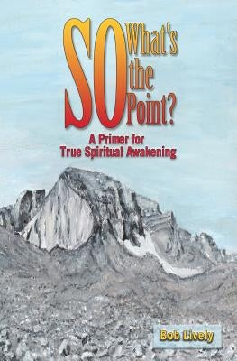 So What's The Point?: A Primer for True Spiritual Awakening by Lively, Bob