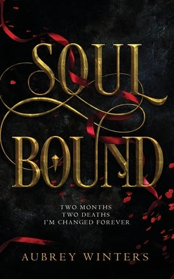 Soul Bound: The Shadow World Book 2 by Winters, Aubrey