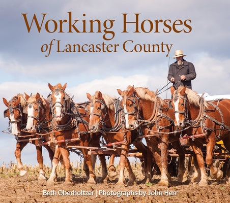 Working Horses of Lancaster County by Oberholtzer, Beth