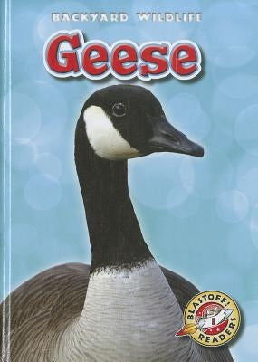 Geese by Fleming, Dana