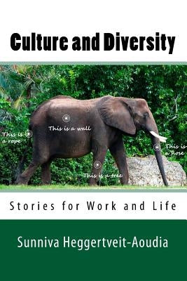 Culture and Diversity: Stories for Work and Life by Baron, Delphine